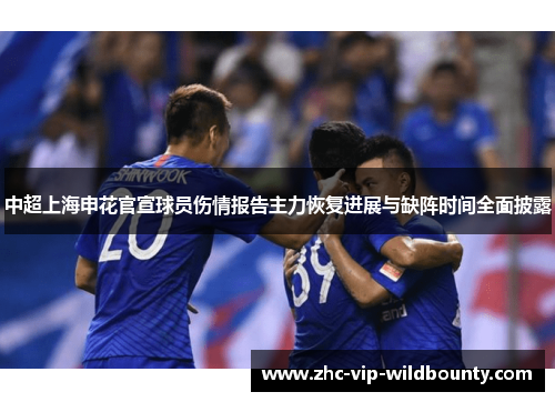 中超上海申花官宣球员伤情报告主力恢复进展与缺阵时间全面披露